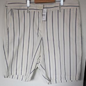 LOFT Women's Cotton Striped White and Blue Shorts Size 10
